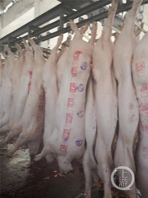 真的降价了!重庆猪肉连续两周下跌